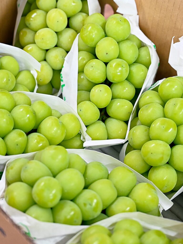 箱詰めされた葡萄たち